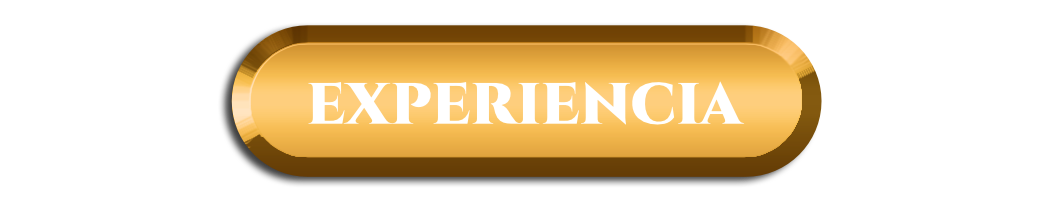 Experiencia