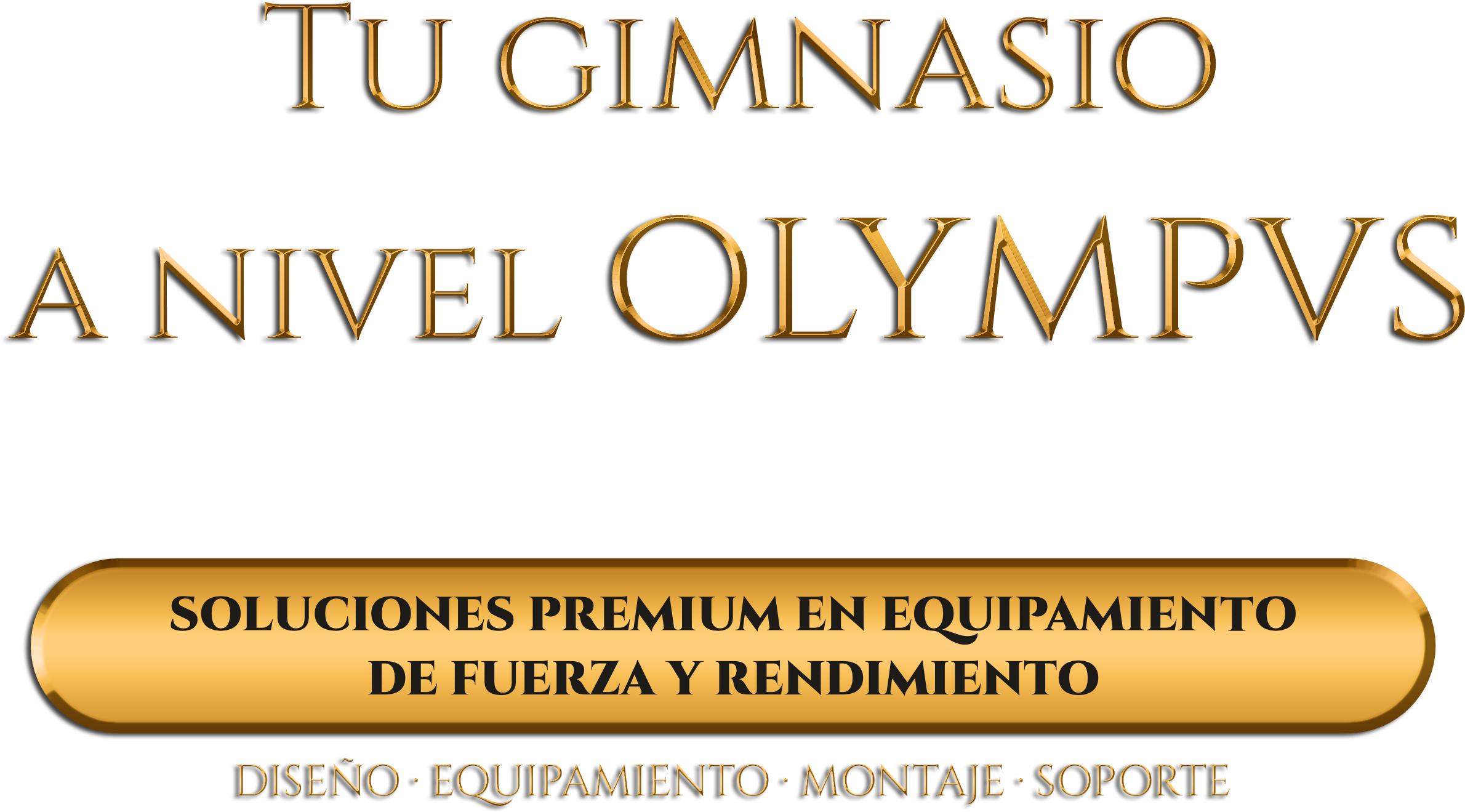 Tu gimnasio a nivel OLYMPVS