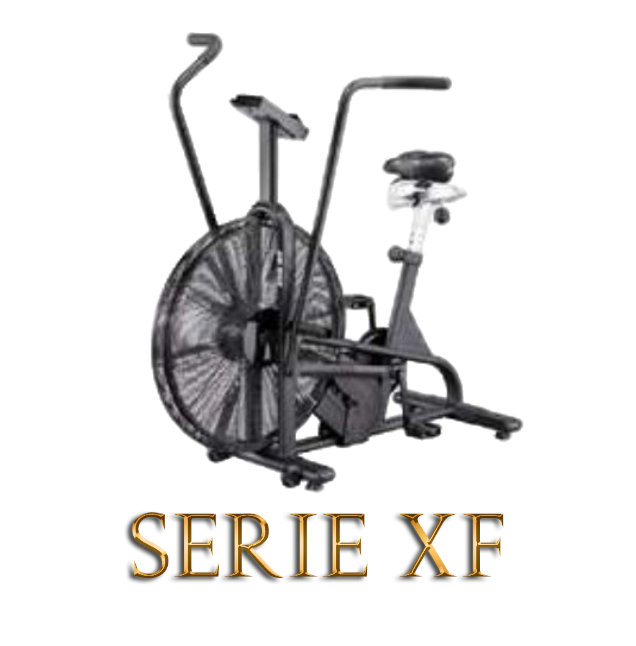XF